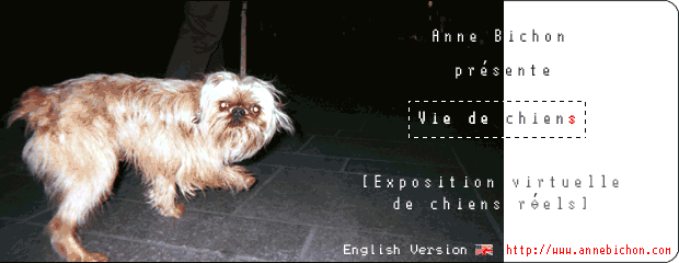 Anne Bichon présente Vie de chiens